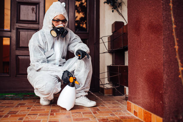 Reliable Bed Bug Control contractor in Richmond Hill, GA by Nex Pest Control