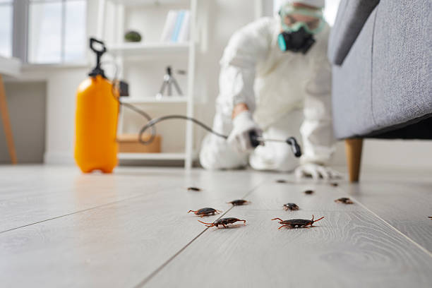 Trusted Fumigation Services service in Richmond Hill, GA - Nex Pest Control