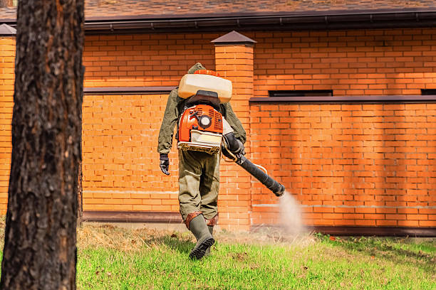 Trusted Ant Control service in Richmond Hill, GA - Nex Pest Control